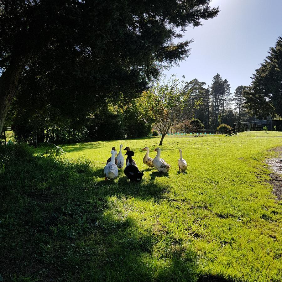 Poripori Homestead Tauranga Zewnętrze zdjęcie